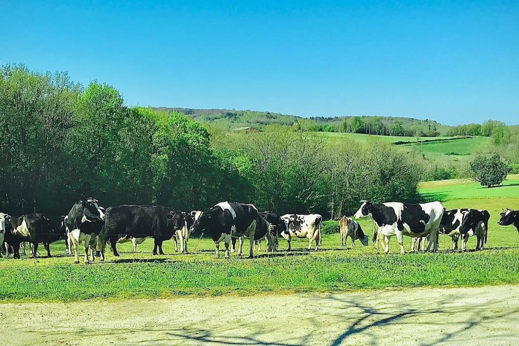 Truffe « Le Vieux Hangar » Gite A La Ferme מראה חיצוני תמונה